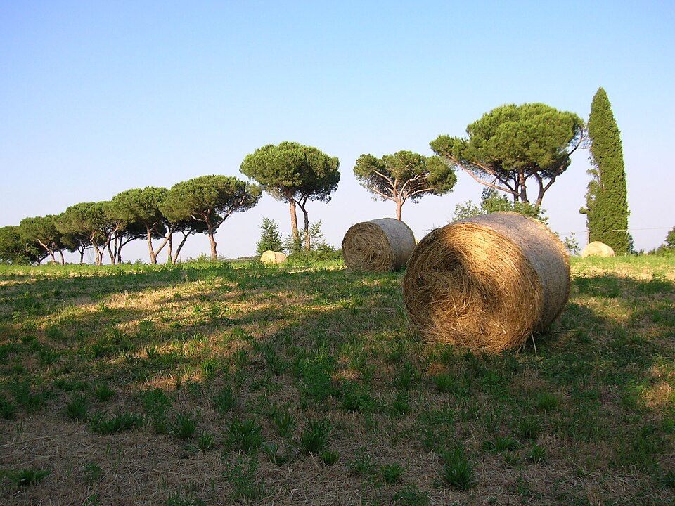 Piano del Parco di Veio approvato